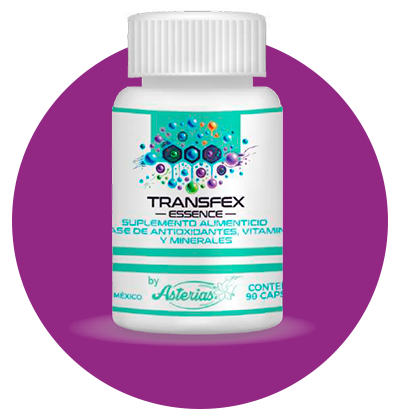 productodiseñotransfex